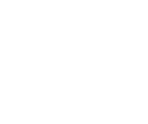 VEROIN Ícone
